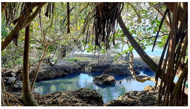  piscinas en Cahuita